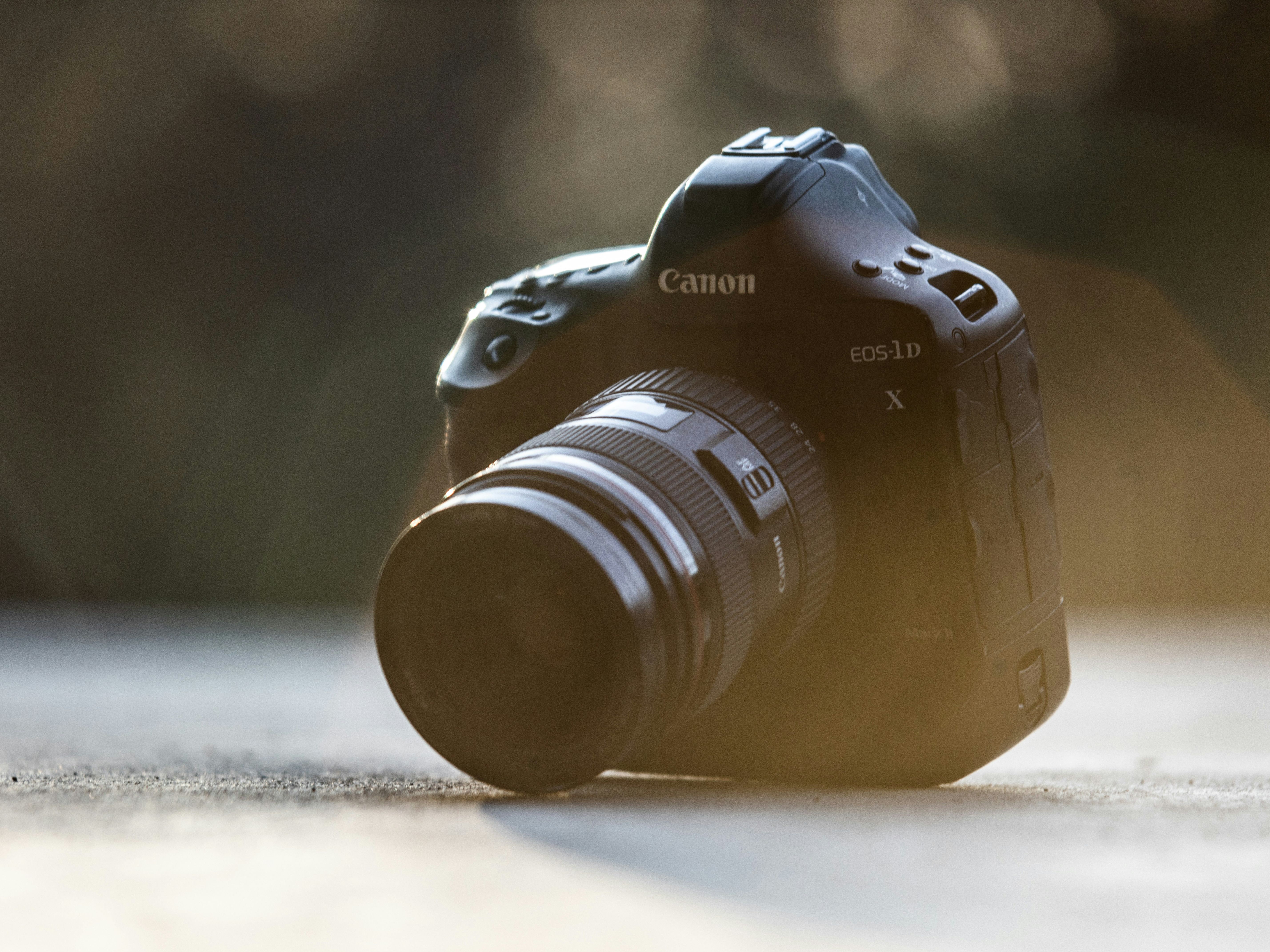 elektronik fotografi elektronik fotografi