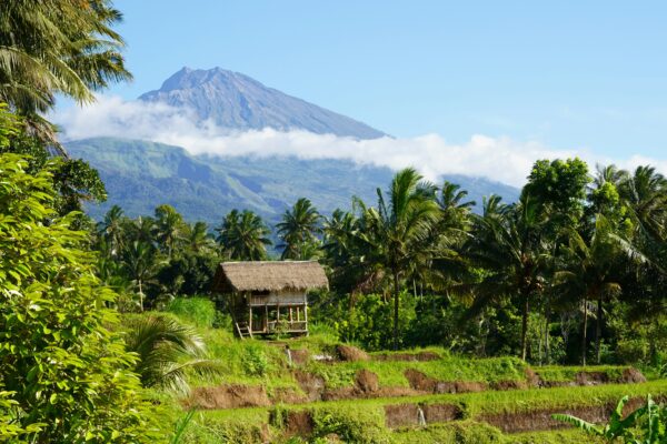 Dampak Ekonomi terhadap Lingkungan Hidup di Bali