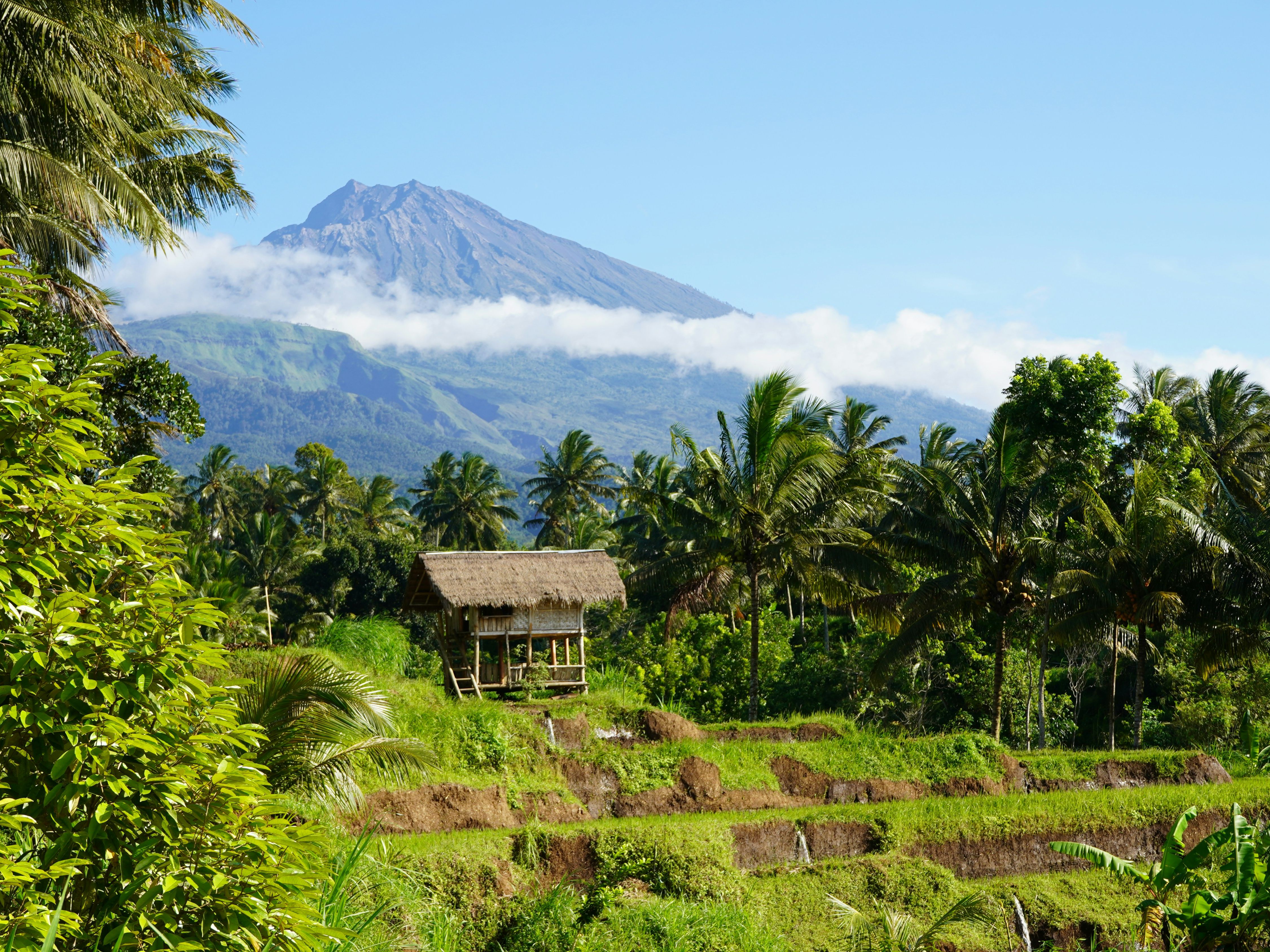 Dinas Lingkungan Provinsi Bali Dinas Lingkungan Provinsi Bali